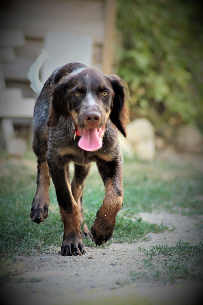 Ozzy (Sans Affixe)