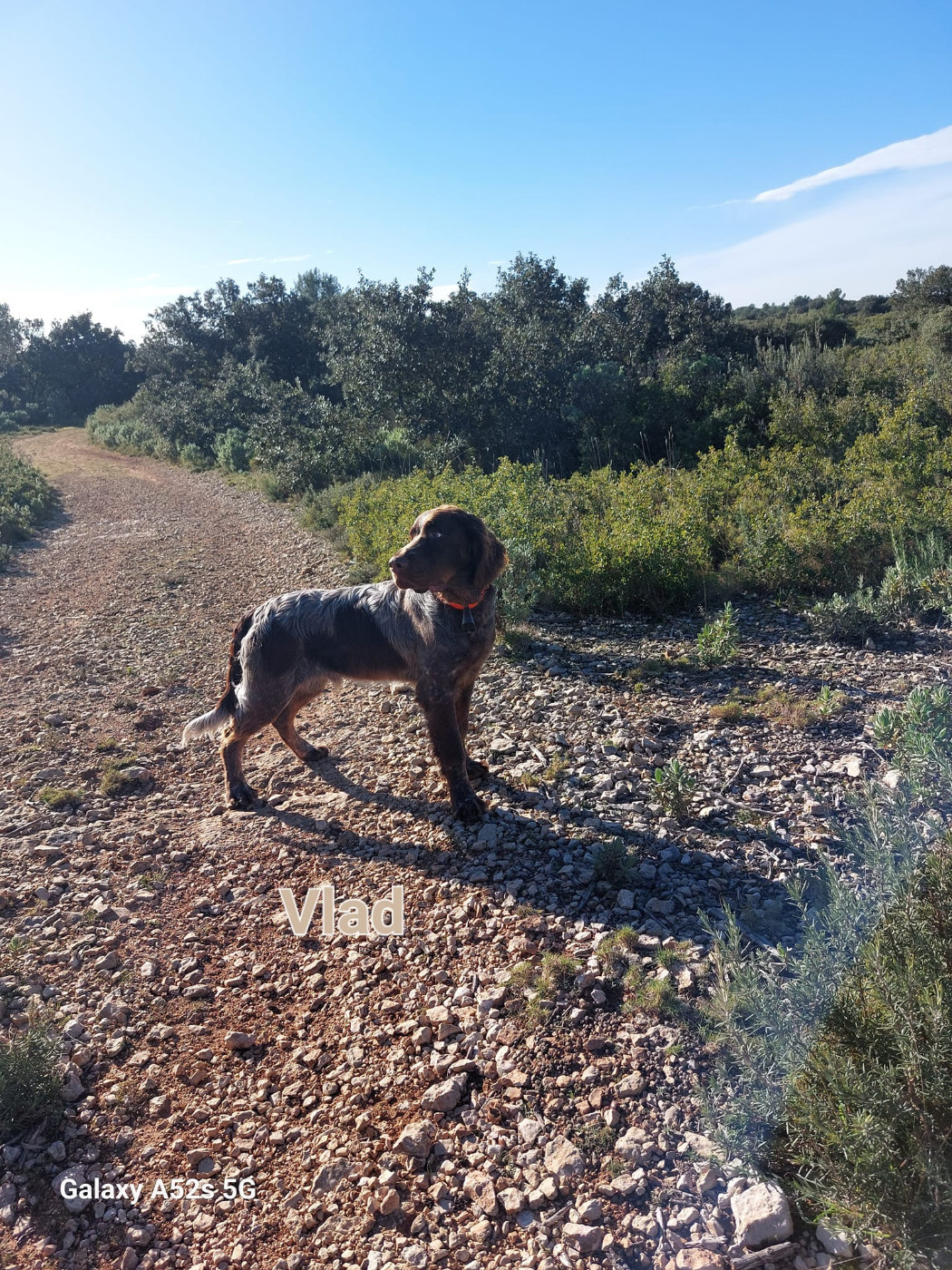 VLAD Des Nobles Terres Notre Dame