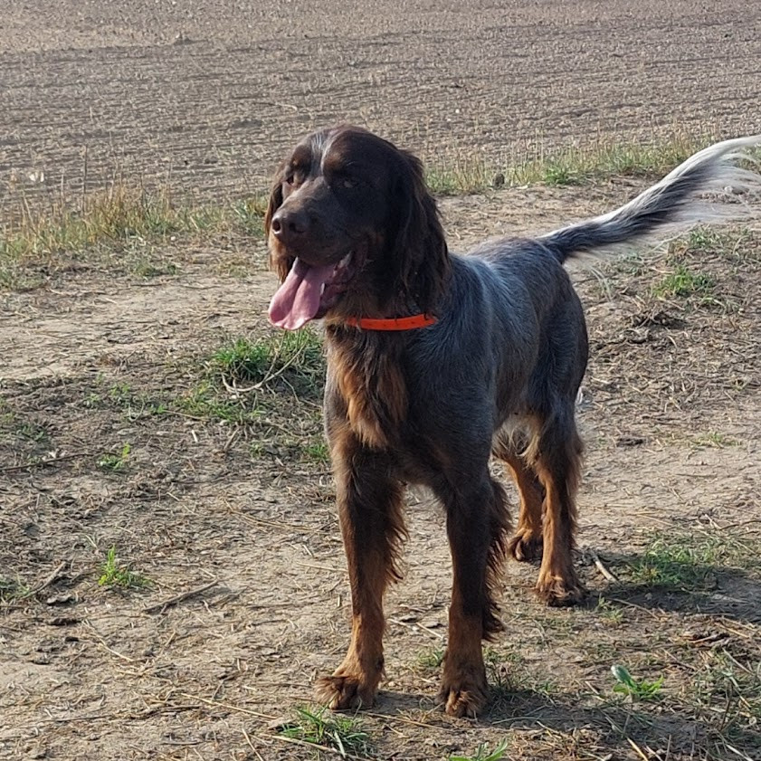 UKAZE Des Nobles Terres Notre Dame